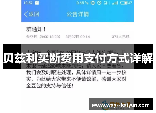 贝兹利买断费用支付方式详解