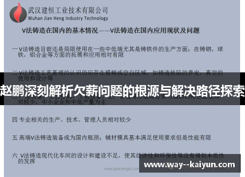 赵鹏深刻解析欠薪问题的根源与解决路径探索